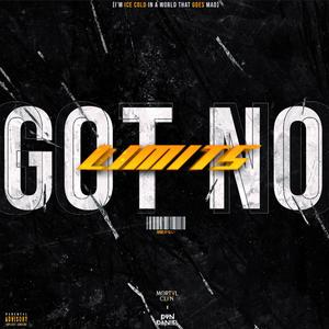 GOT NO LIMITS