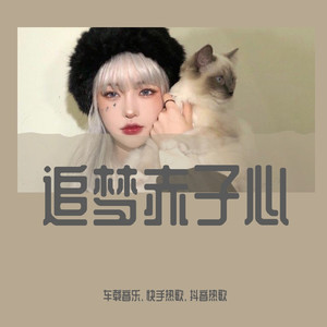 追梦赤子心 (DJ版)