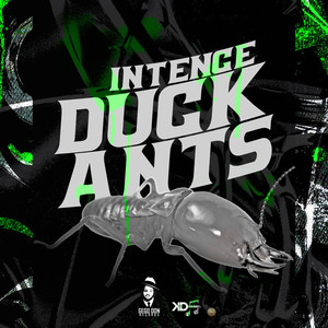 Duck Ants (Explicit)