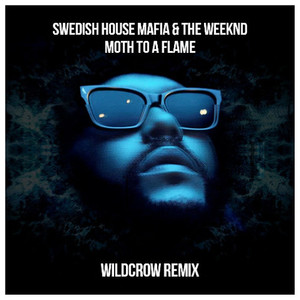Moth To A Flame (Wildcrow Remix)