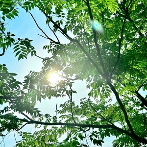 春日呓语