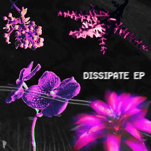 Dissipate EP