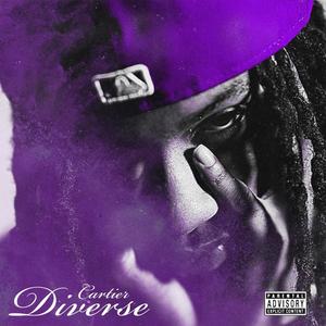 Diverse (Explicit)