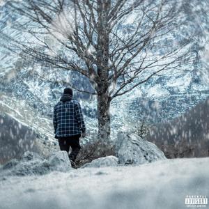 Fleurs, Photos, Appareil (feat. Tenshi-C & Afton)