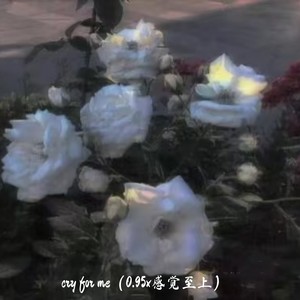 Cry For Me (0.95x感觉至上)