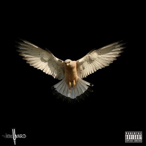 Birds (Projekt Remix)