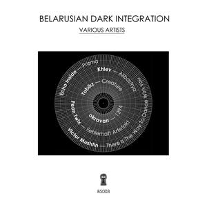 Belarusian Dark Integration