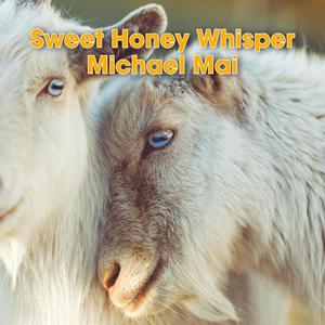 Sweet Honey Whisper