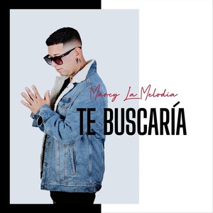Te Buscaría