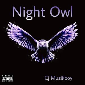 Night Owl