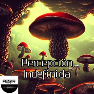 Percepción Indefinida (feat. Darpress, Nightcore Ichiban, Nightcore Red, Nightcore Hits, Nightcore High, Nightcore Reality, Nightcore Tazzy, YTBS Nightcore, IluvUso, Fly By Nightcore & Rock Emo Nightcore) [Sped Up] [Explicit]