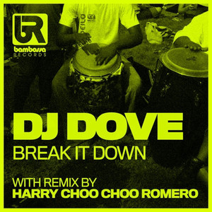 Break It Down (Harry Choo Choo Romero Remix)