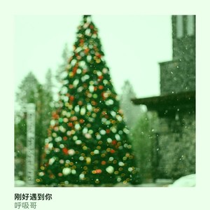 刘金鑫