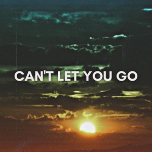 Can't Let You Go