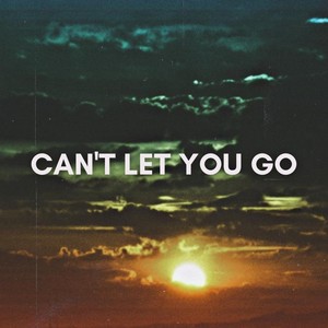 Can't Let You Go