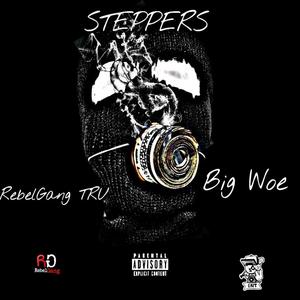 STEPPERS (feat. Big Woe) [Explicit]