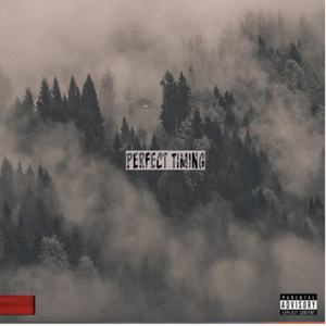 Perfect Timing (Explicit)