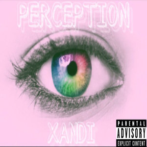 Perception (Explicit)