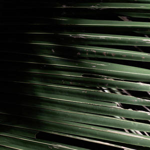 Party (feat. devscxtt) (Explicit)