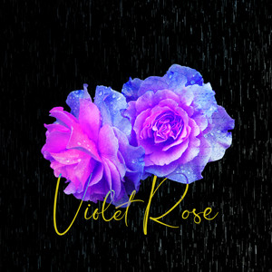 Violet Rose