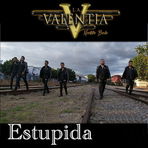 Estúpida