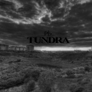 Tundra