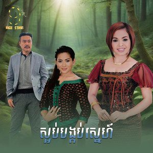 ស្អប់បង្កប់ស្នេហ៍ (From