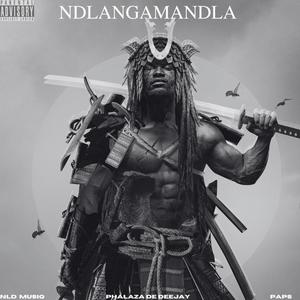 Ndlangamandla (feat. PAPS & NLD musiq)