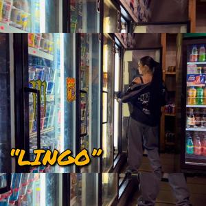 Lingo (Explicit)