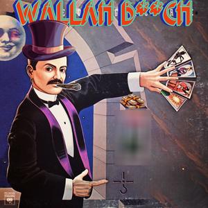 Wallah ***** (Explicit)