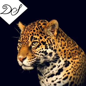 Walking Alone (Original Mix)