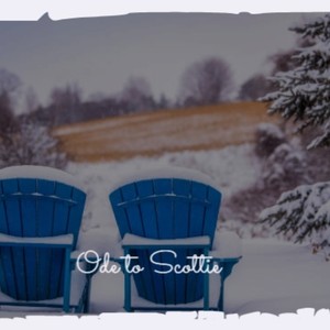 Dear Dan Mr. Briefcase