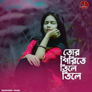 Tor Pirite Tile Tile