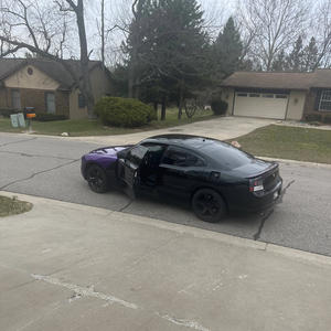 160 inna Cat (Explicit)