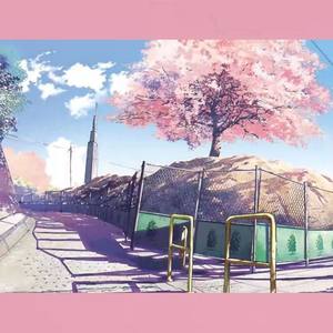 Sakura❀来武汉看樱花吧