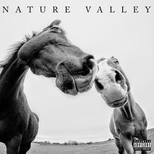 NATURE VALLEY (feat. KIMISWILD) [Explicit]