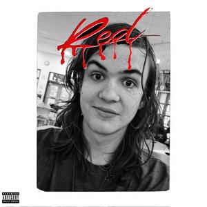 Whole Lotta Ronan (Explicit)