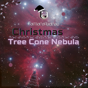 Christmas Tree Cone Nebula