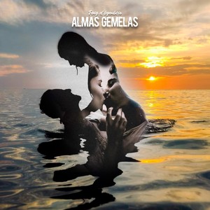 ALMAS GEMELAS