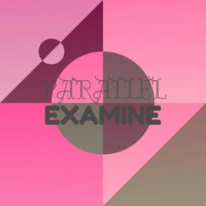 Parallel Examine