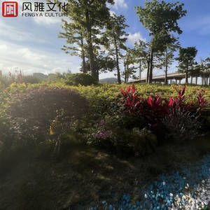 风月