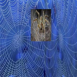 instalment -1 *p. @nonsixe* (Explicit)