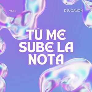 TU ME SUBE LA NOTA