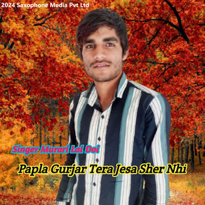 Papla Gurjar Tera Jesa Sher Nhi