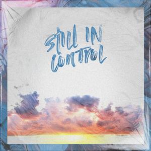 Still In Control (feat. Robin Walters)