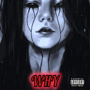 WHY (Explicit)