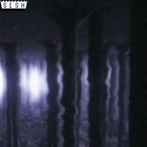 where the trees outlast the people