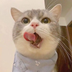 你就不要想起我