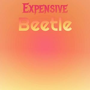 Expensive Beetle