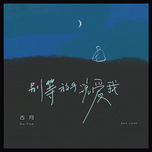 别等放手说爱我 (DJ亚明版)